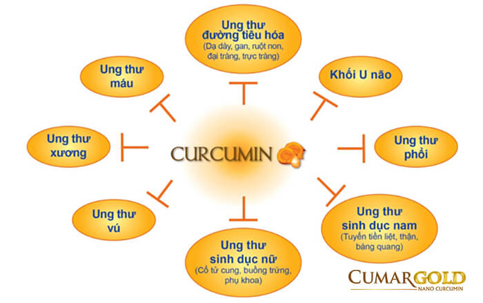 Tác dụng curcumin giúp ngăn ngừa và điều trị ung thư