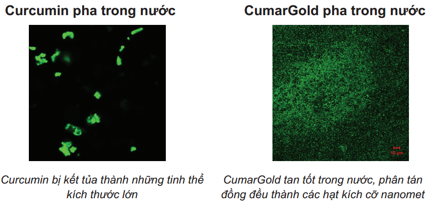 Khả năng tan trong nước của CumarGold (Nano Curcumin) so với Curcumin thường
