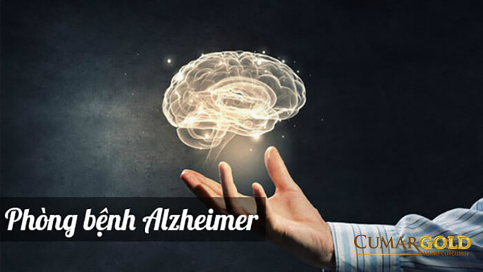 Giúp phòng bệnh Alzheimer