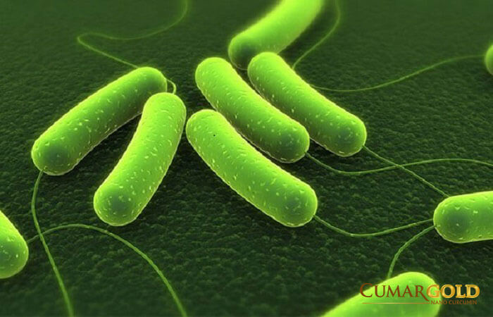Vi khuẩn Helicobacter pylori là một trong những nguyên nhân phổ biến