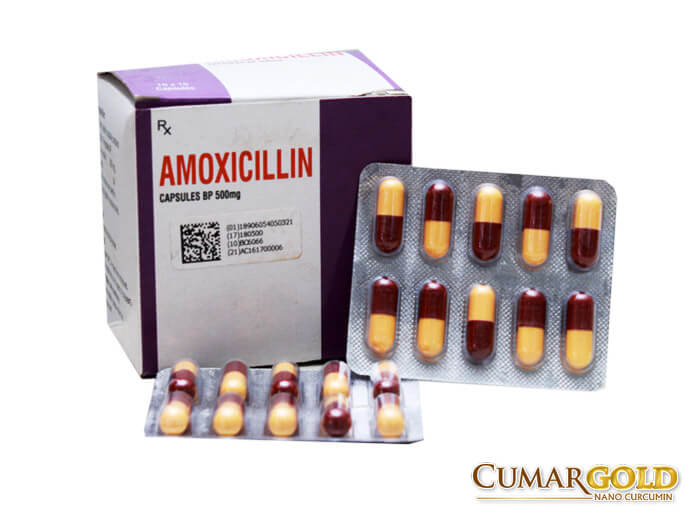 Hộp thuốc Amoxicillin