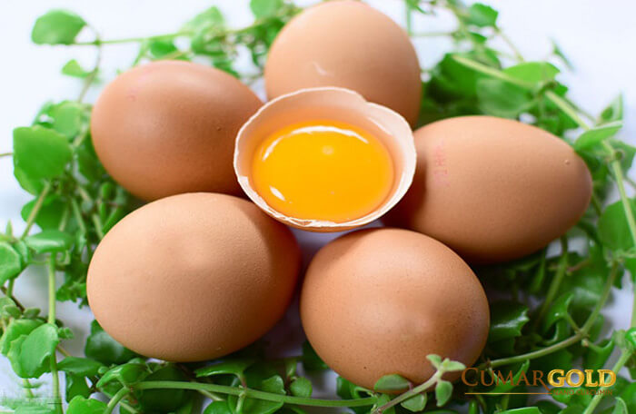 Đau dạ dày có nên ăn trứng không?